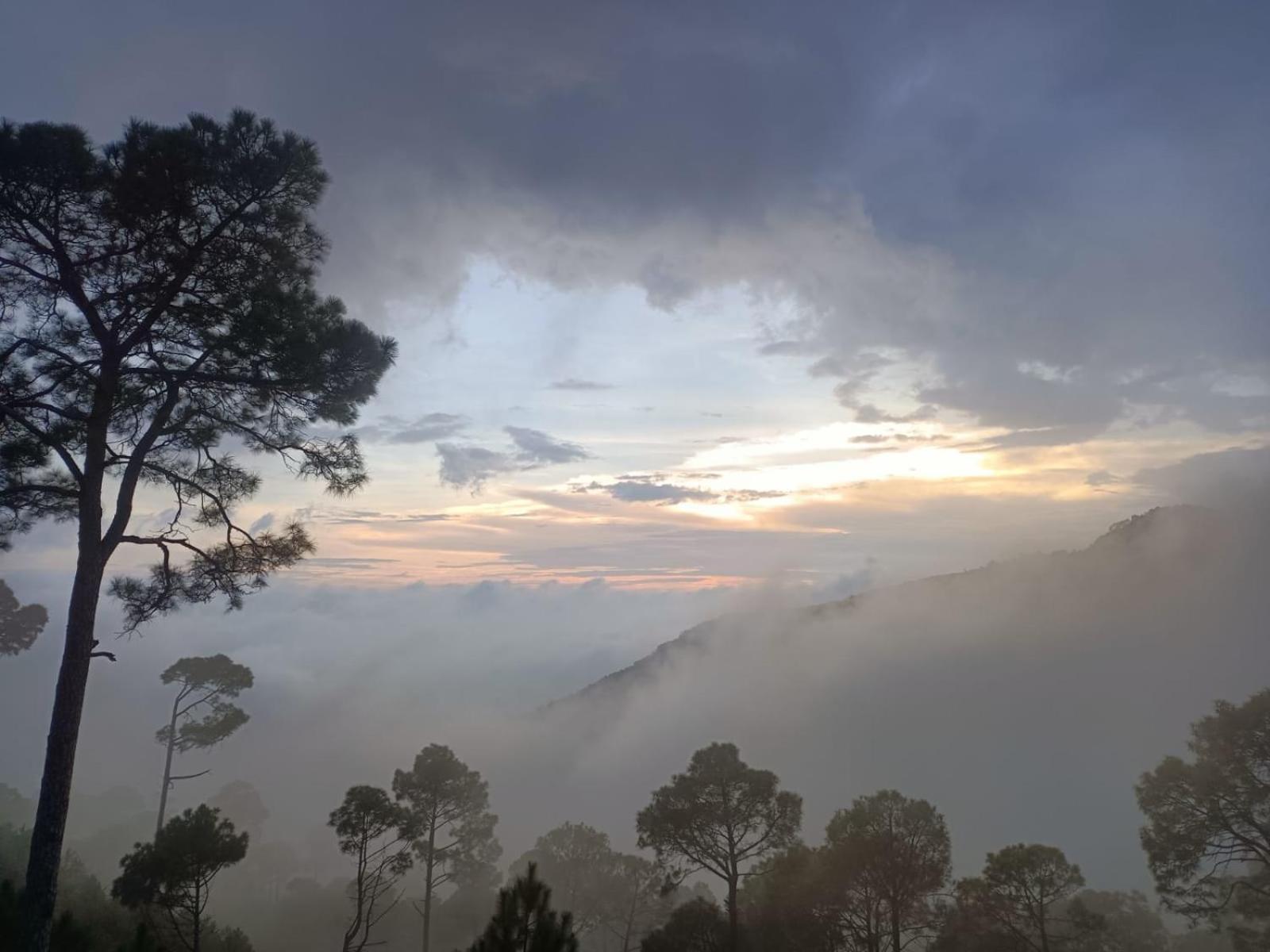 The Western Heights I Serviced Apartments I Pvt Balcony I Lift I Peacefull Area I Family Accomodation I Kasauli I By Exotic Stays Exterior foto